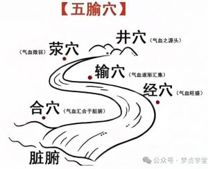 中医五腧穴的含义